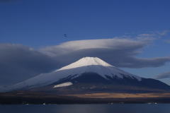 鳥と雲と富士