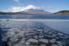 氷の山中湖と富士山