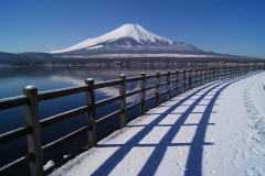 サイクリングロードと富士山