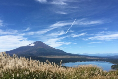 富士とススキと山中湖